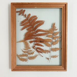 Pressed Fern Botanical Framed Picture